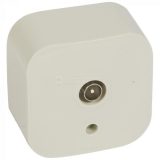 782245  Телевизионная розетка - Quteo IP 20 - Слоновая кость