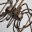 Подвесная светодиодная люстра Favourite Tentacoli 3014-20P