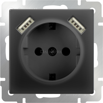 Розетка с заземлением, шторками и USBх2 (черный матовый) WL08-SKGS-USBx2-IP20