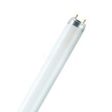 Лампа люминесцентная L 36W/830 LUMILUX 36Вт T8 3000К G13 OSRAM 4050300517896