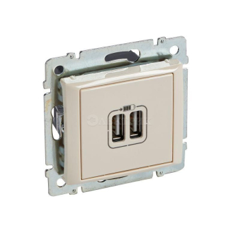 Розетка USB 2-м СП Valena сл. кость Leg 774170