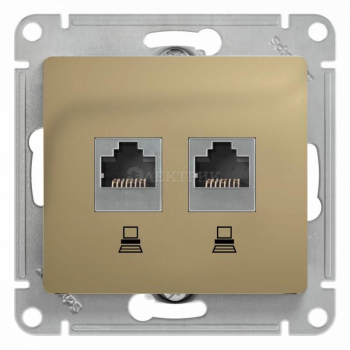 Механизм розетки комп. 2-м Glossa RJ45+RJ45 кат.5е титан SchE GSL000485KK