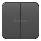 Выключатель 2-кл. ОП Blanca 10А IP20 (сх. 5) 250В с изолир. пластиной антрацит SchE BLNVA105016