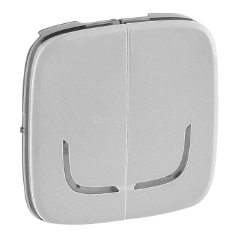 754777  Valena ALLURE MyHome Play Zigbee. Лицевая панель для выключателя-радиоприемника 2-канального