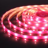 Светодиодная лента 5050/30 LED 7,2 W IP65 розовый свет ES