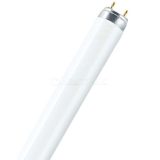Лампа люминесцентная L 58Вт/840 LUMILUX смол. OSRAM 4008321582744