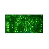 Электрогирлянда "Мишура LED" 3м 288LED зел. прозр. провод 18Вт 220В IP20 NEON-NIGHT 303-604