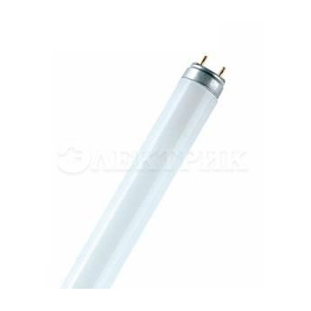 Лампа люминесцентная HO 24W/840 24Вт T5 4000К G5 OSRAM 4050300453477