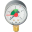 10007375(03.12.104) Watts F+R201(MHR) 50/4x1/4" Манометр радиальный 50мм, 0-4 бар